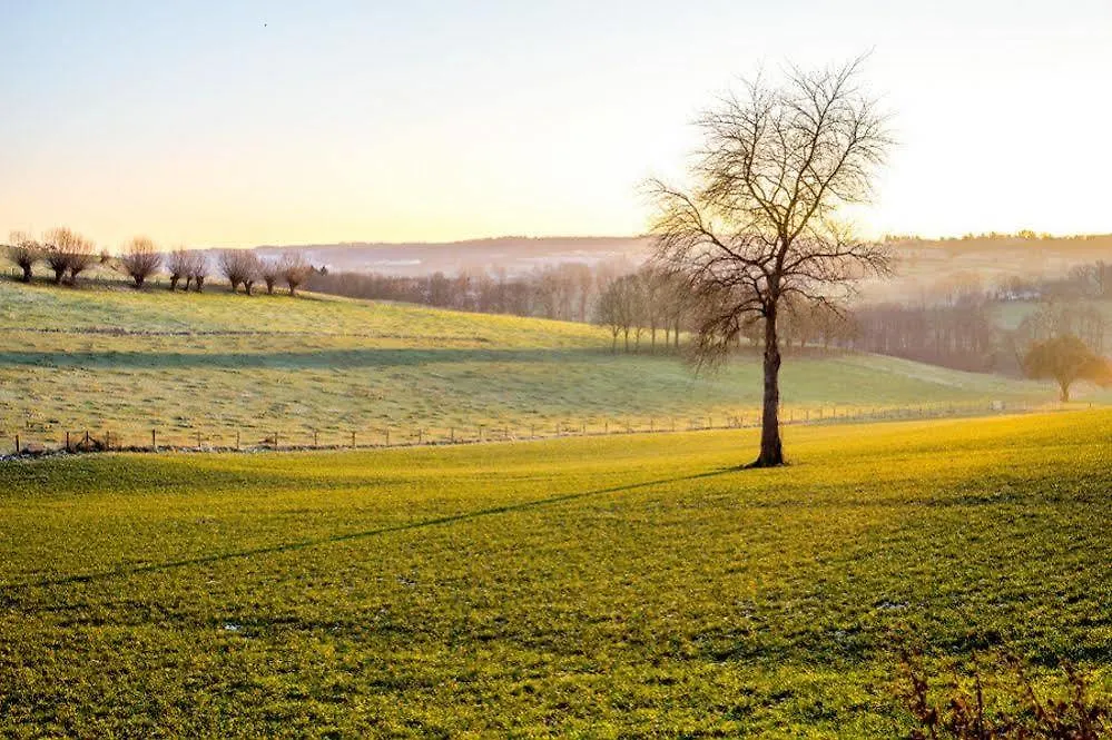 Carre Hotel Zuid-Limburg Hulsberg 3*,